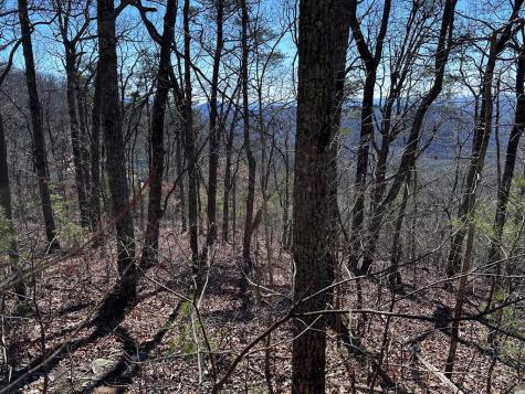 246 Andes Ridge Ellijay GA 30536