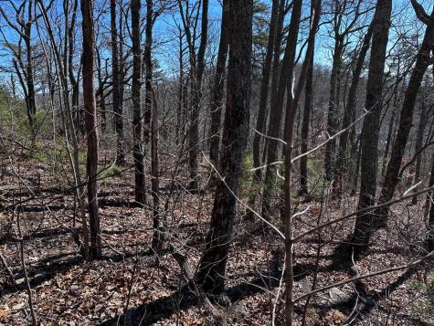 246 Andes Ridge Ellijay GA 30536