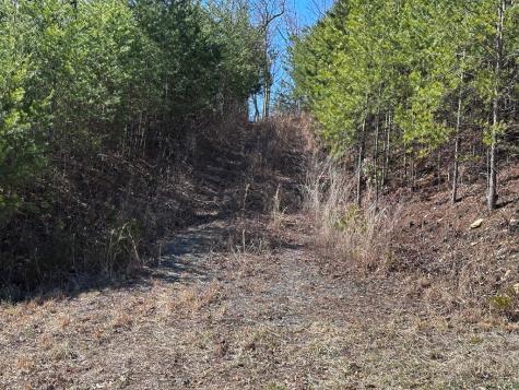 246 Andes Ridge Ellijay GA 30536