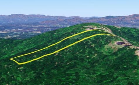 246 Andes Ridge Ellijay GA 30536