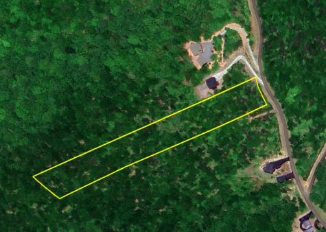 246 Andes Ridge Ellijay GA 30536