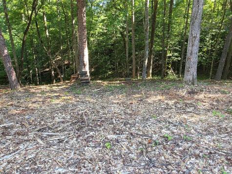 86 Cedar Road Ellijay GA 30540