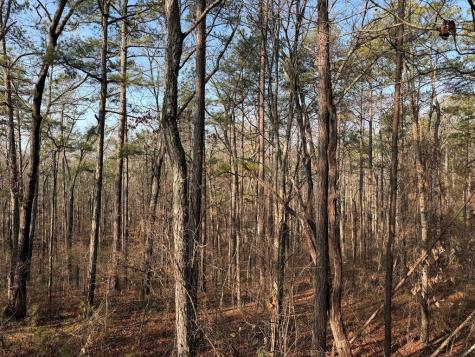 0 Lower Sweetwater Road Canton GA 30114