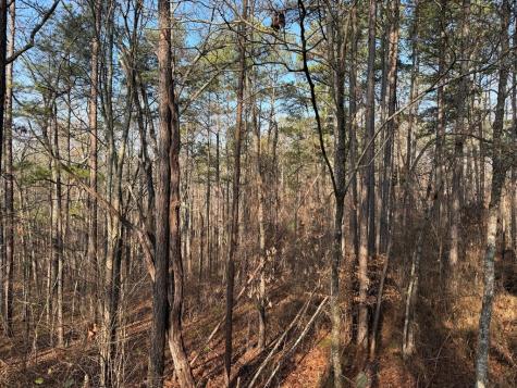 0 Lower Sweetwater Road Canton GA 30114