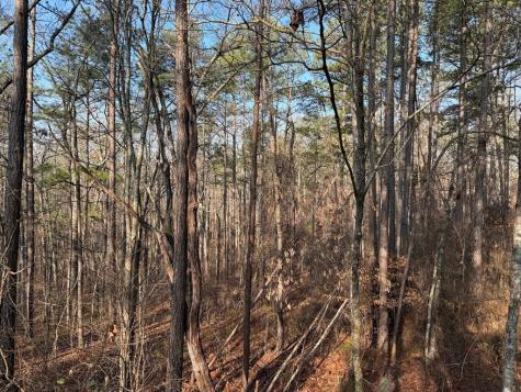 0 Lower Sweetwater Road Canton GA 30114