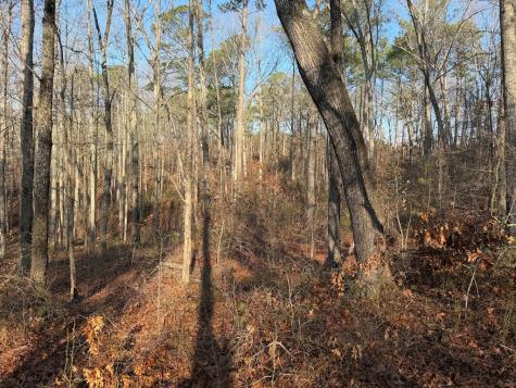 0 Lower Sweetwater Road Canton GA 30114