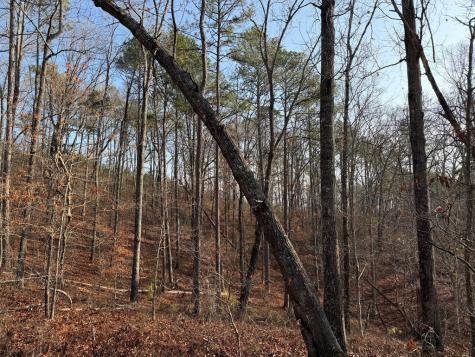 0 Lower Sweetwater Road Canton GA 30114