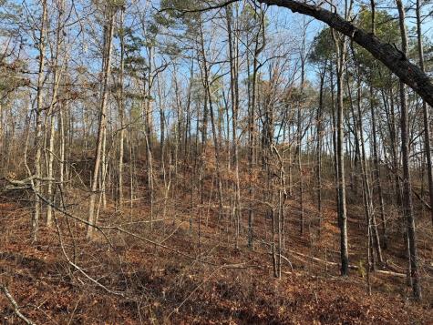 0 Lower Sweetwater Road Canton GA 30114