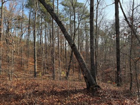 0 Lower Sweetwater Road Canton GA 30114