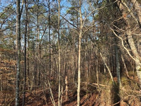 0 Lower Sweetwater Road Canton GA 30114