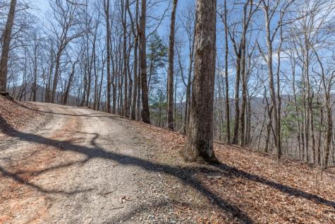 13.99 Ac Caesar Gap Road Hiawassee GA 30546