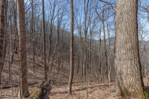 13.99 Ac Caesar Gap Road Hiawassee GA 30546