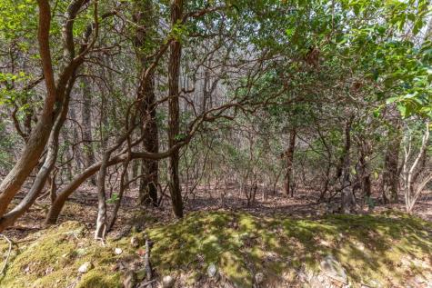 13.99 Ac Caesar Gap Road Hiawassee GA 30546