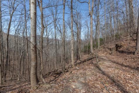 13.99 Ac Caesar Gap Road Hiawassee GA 30546