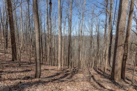 13.99 Ac Caesar Gap Road Hiawassee GA 30546