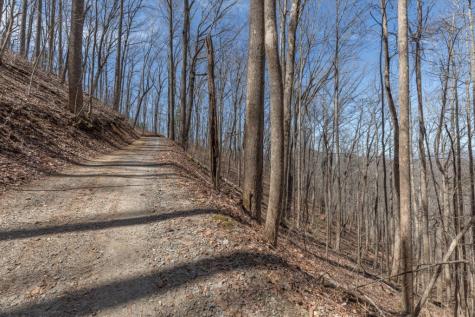 13.99 Ac Caesar Gap Road Hiawassee GA 30546
