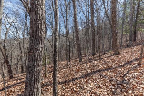 13.99 Ac Caesar Gap Road Hiawassee GA 30546