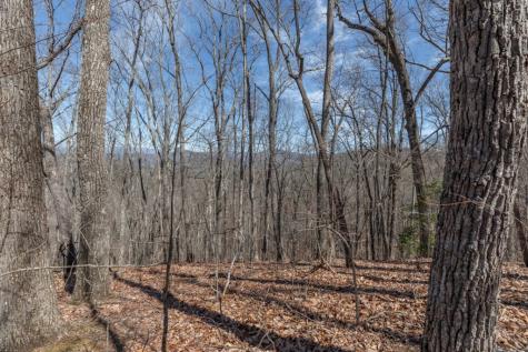 13.99 Ac Caesar Gap Road Hiawassee GA 30546
