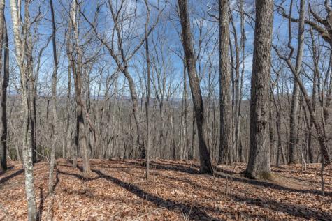 13.99 Ac Caesar Gap Road Hiawassee GA 30546