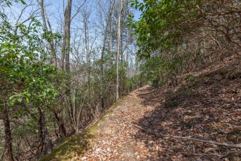 13.99 Ac Caesar Gap Road Hiawassee GA 30546