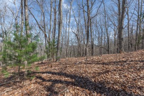13.99 Ac Caesar Gap Road Hiawassee GA 30546