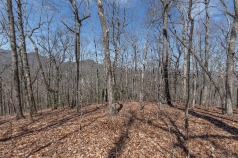 13.99 Ac Caesar Gap Road Hiawassee GA 30546