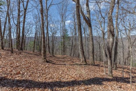 13.99 Ac Caesar Gap Road Hiawassee GA 30546