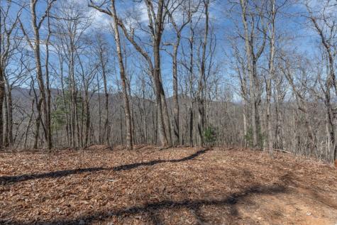 13.99 Ac Caesar Gap Road Hiawassee GA 30546