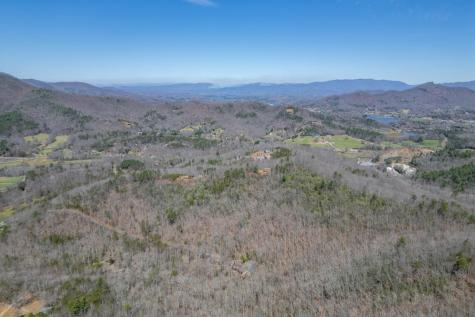 13.99 Ac Caesar Gap Road Hiawassee GA 30546
