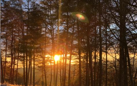 999 Blue Ridge Heights Drive Blue Ridge GA 30513