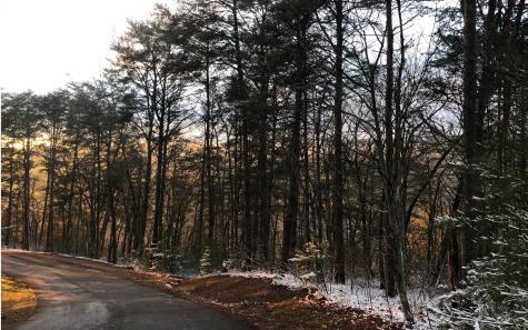 999 Blue Ridge Heights Drive Blue Ridge GA 30513