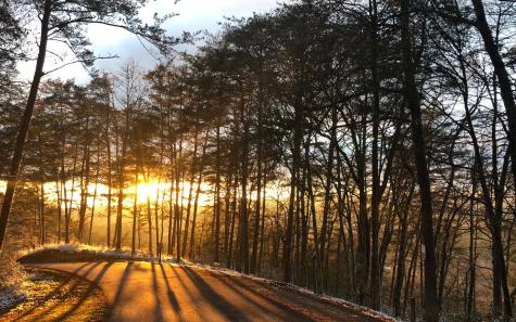 999 Blue Ridge Heights Drive Blue Ridge GA 30513