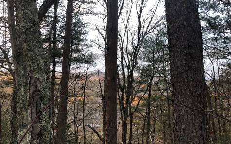 999 Blue Ridge Heights Drive Blue Ridge GA 30513