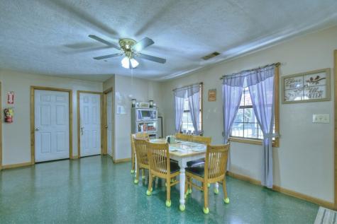 160 Moores Road Mineral Bluff GA 30559