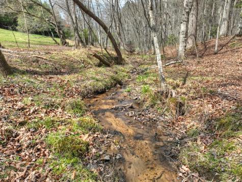 11.32 Ac Indian Trace Mineral Bluff GA 30559