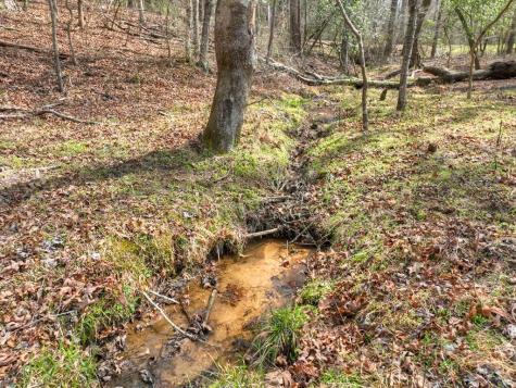 11.32 Ac Indian Trace Mineral Bluff GA 30559