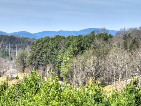 11.32 Ac Indian Trace Mineral Bluff GA 30559