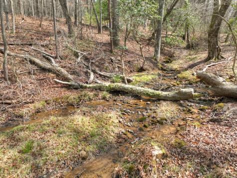 11.32 Ac Indian Trace Mineral Bluff GA 30559