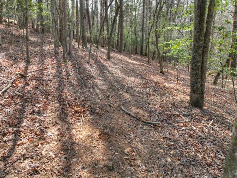 11.32 Ac Indian Trace Mineral Bluff GA 30559