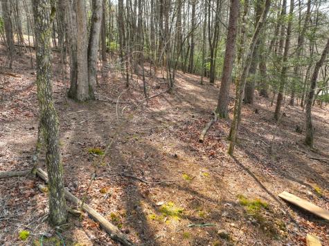 11.32 Ac Indian Trace Mineral Bluff GA 30559
