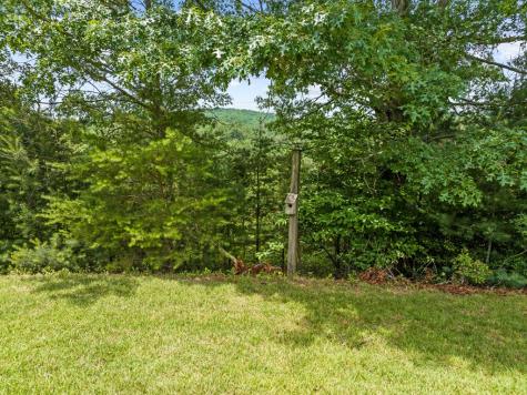 177 Shangri La Drive Mineral Bluff GA 30559