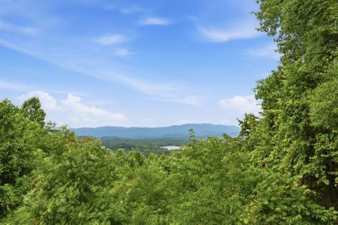 3160 Hiawassee Trace Hiawassee GA 30546