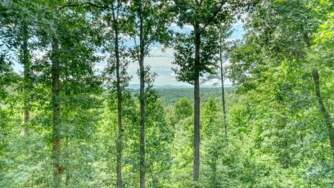 119 Bear Court Ellijay GA 30540