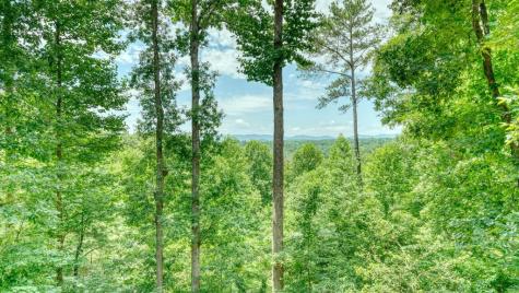 119 Bear Court Ellijay GA 30540