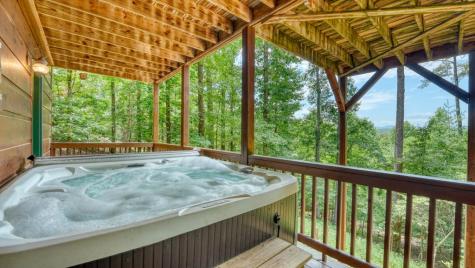 119 Bear Court Ellijay GA 30540