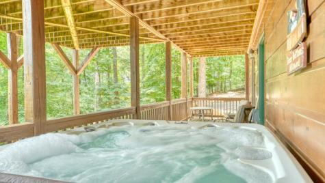 119 Bear Court Ellijay GA 30540