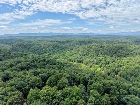 119 Bear Court Ellijay GA 30540