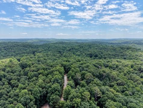 119 Bear Court Ellijay GA 30540