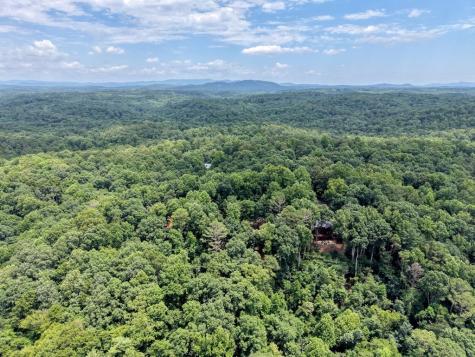 119 Bear Court Ellijay GA 30540
