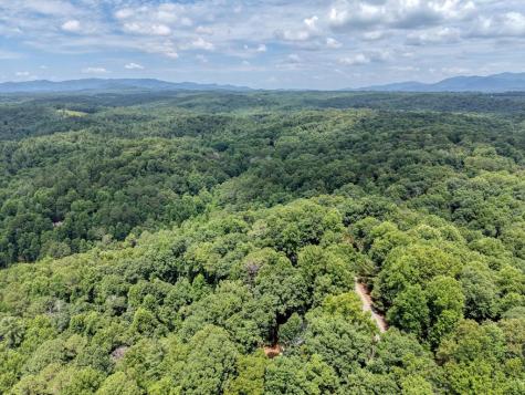 119 Bear Court Ellijay GA 30540